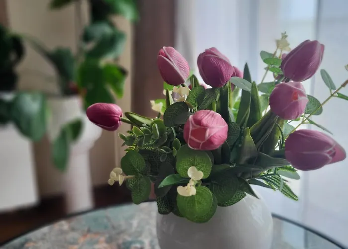 Morska Harmonia Apartment